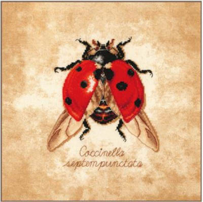 Coccinella Septempunctata Kit