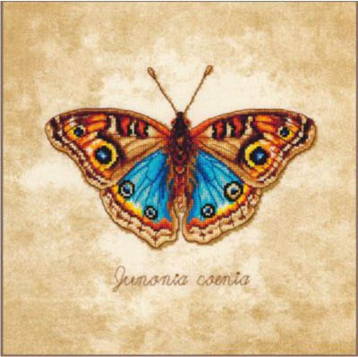 Junonia Coenia Kit