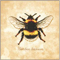 Bombus Lucorum Kit