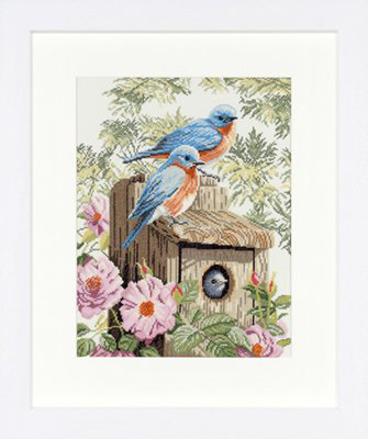 Garden Bluebirds Kit