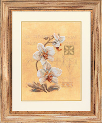 Three Orchids Kit