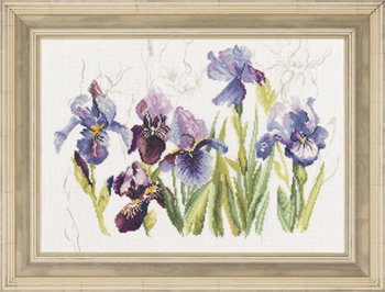 Blue Flowers Iris Kit