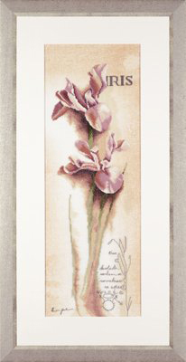 Iris - Botanical Kit