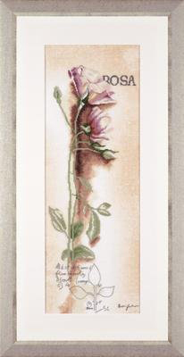 Rosa - Botanical Kit