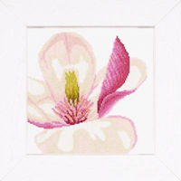 Magnolia Flower Kit