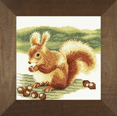 Nibbeling Squirrel Kit