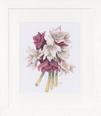 Amaryllis Bouquet Kit by Marjolein Bastin
