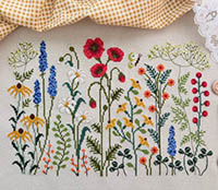 Wildflower Meadow