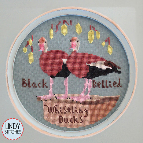 Bird Crush Club #2 - Black Bellied Whistling Duck