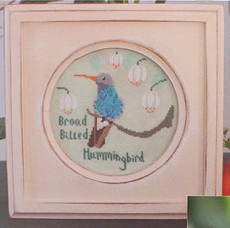 Bird Crush Club #3 - Broad Billed Hummingbird