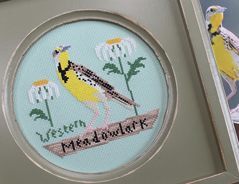 Bird Crush Club #6 - Western Meadowlark 