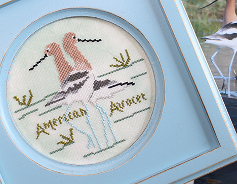 Bird Crush Club #7 - American Avocet
