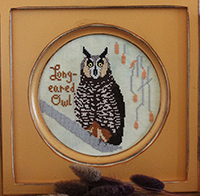 Bird Crush Club #10 - Long-eared Owl