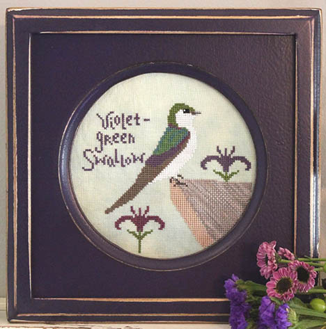 Bird Crush Club #11 - Violet-Green Swallow