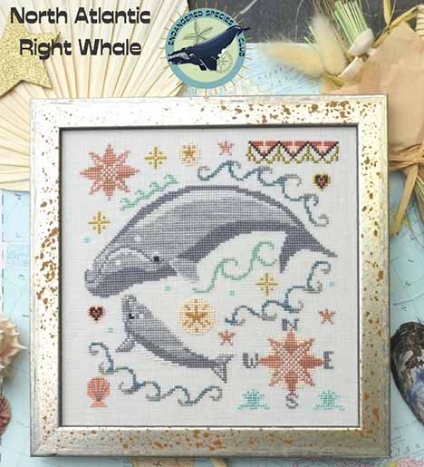 North Atlantic Right Whale