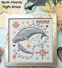 North Atlantic Right Whale