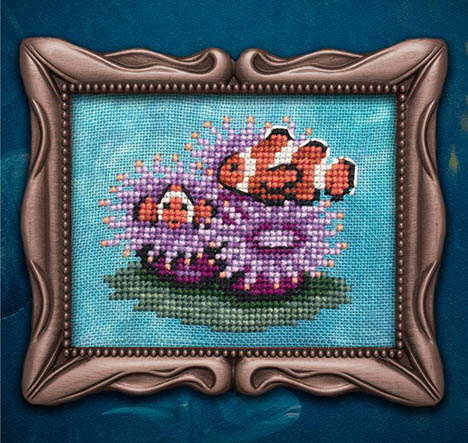 Reef Buddies