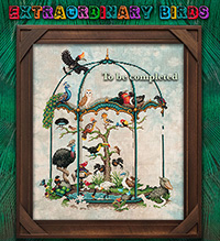 Extroidinary Birds