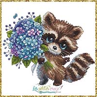 Animal series:  Raccoon