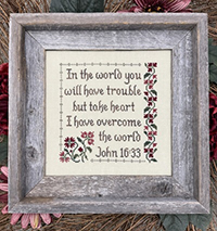 I Have Overcome the World