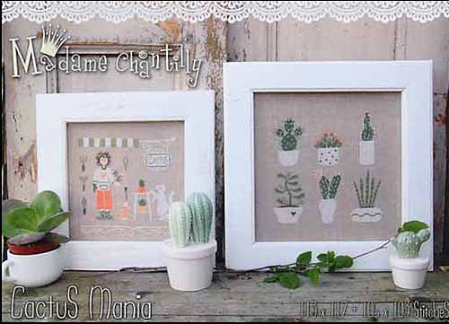 Cactus Mania