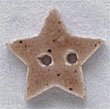 86236 Small Brown Speckled Star Mill Hill Button