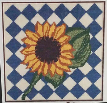 Harlequin Sunflower