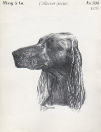 Irish Setter