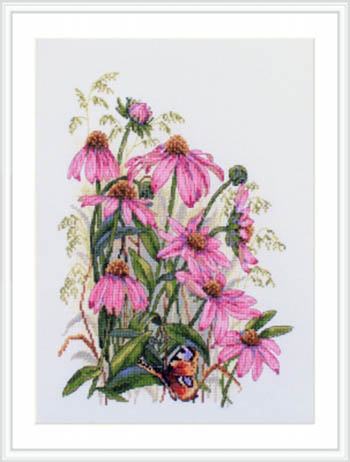 Coneflowers Kit