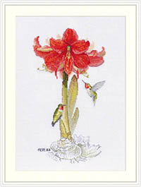 Amaryllis Kit