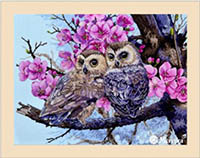 Two Owls in Spring Blossom Kit