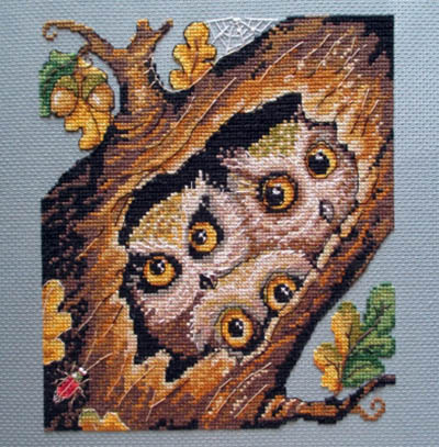 Owls Kit