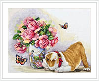 Bulldog and Butterflies Kit