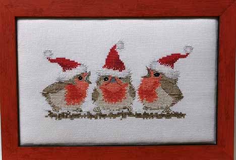 SHOP MODEL -  FESTIVE ROBINS