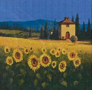 A Sunflower Vantage