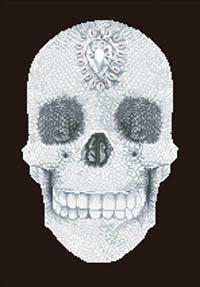 Crystal Skull  - Diamond Dotz Kit