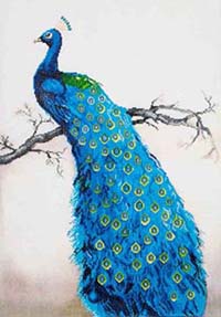 Blue Peacock   -  Diamond Dotz Kit