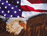 Bald Eagle & Flag -  Diamond Dotz Kit