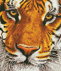 Bengal Magic  -  Diamond Dotz Kit