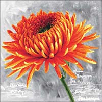 Orange Dahlia  - No Count X-Stitch Kit