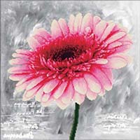 Pink Dahlia -  No Count X-Stitch Kit