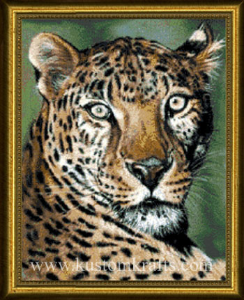 Sheba the Leopard