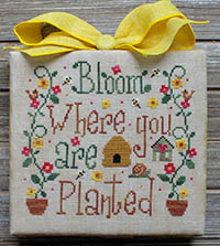 Bloom Where You Are Planted
