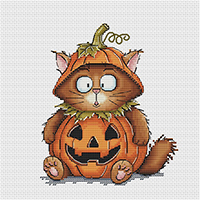 Seriously-a Pumpkin Cat