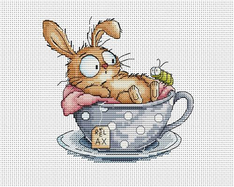 Cute Bunny - Surprise
