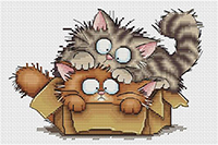 Cat Double Trouble