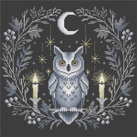 Midnight Owl