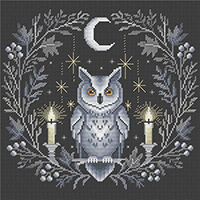 Midnight Owl