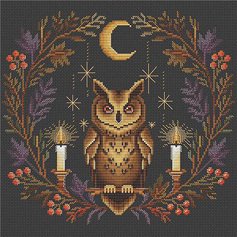Moonlit Owl