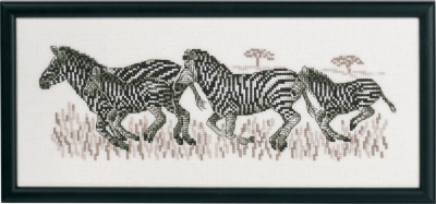 Zebras Kit